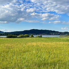 22-07-05 19-04-07 1422